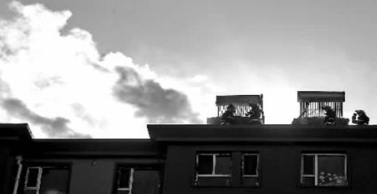 太陽(yáng)能電伴熱帶